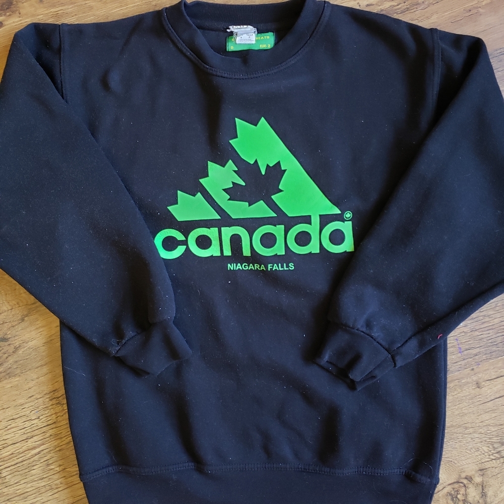 🤩🤸♀️HOST PICK🤸♀️🤩nwot! adidas niagra falls crewneck hoodie - Picture 1 of 1